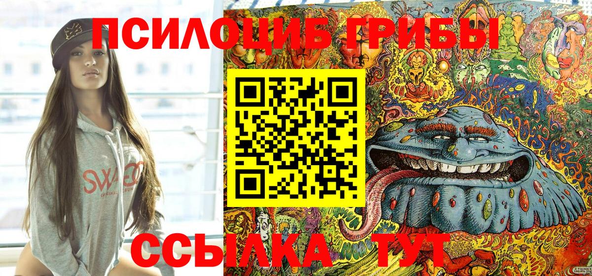 Галлюциногенные грибы Psilocybe  Вход с VPN  Галлюциногенные грибы мицелий  Шумерля 